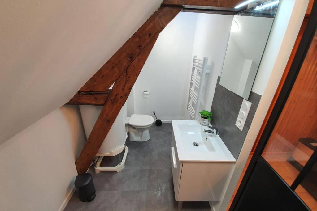 Charmant Studio Hyper Centre Lourdes Exterior foto